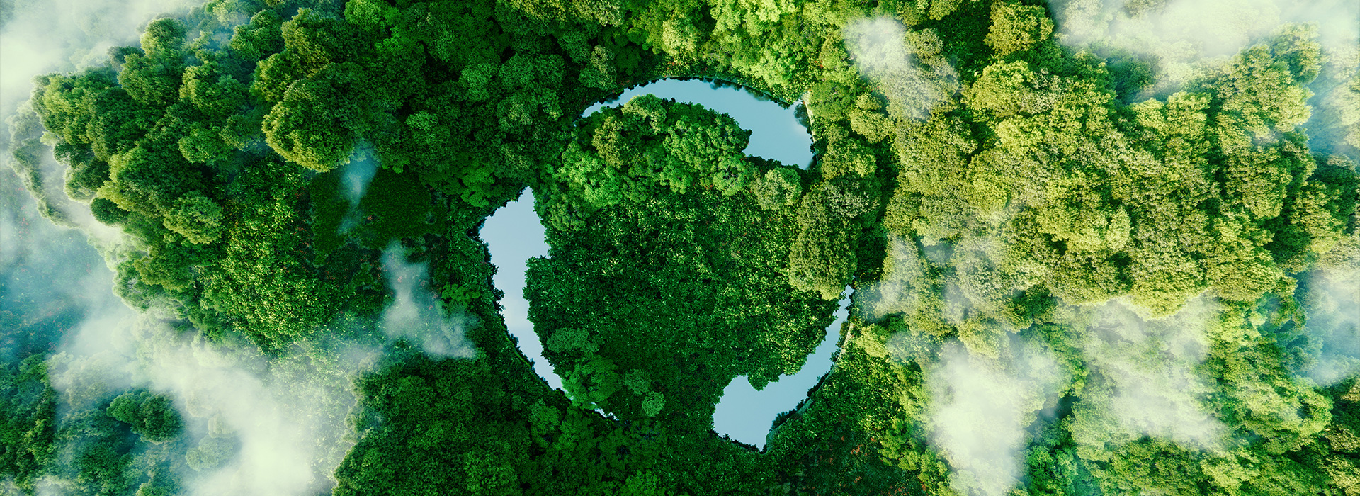 ��Ӯ����