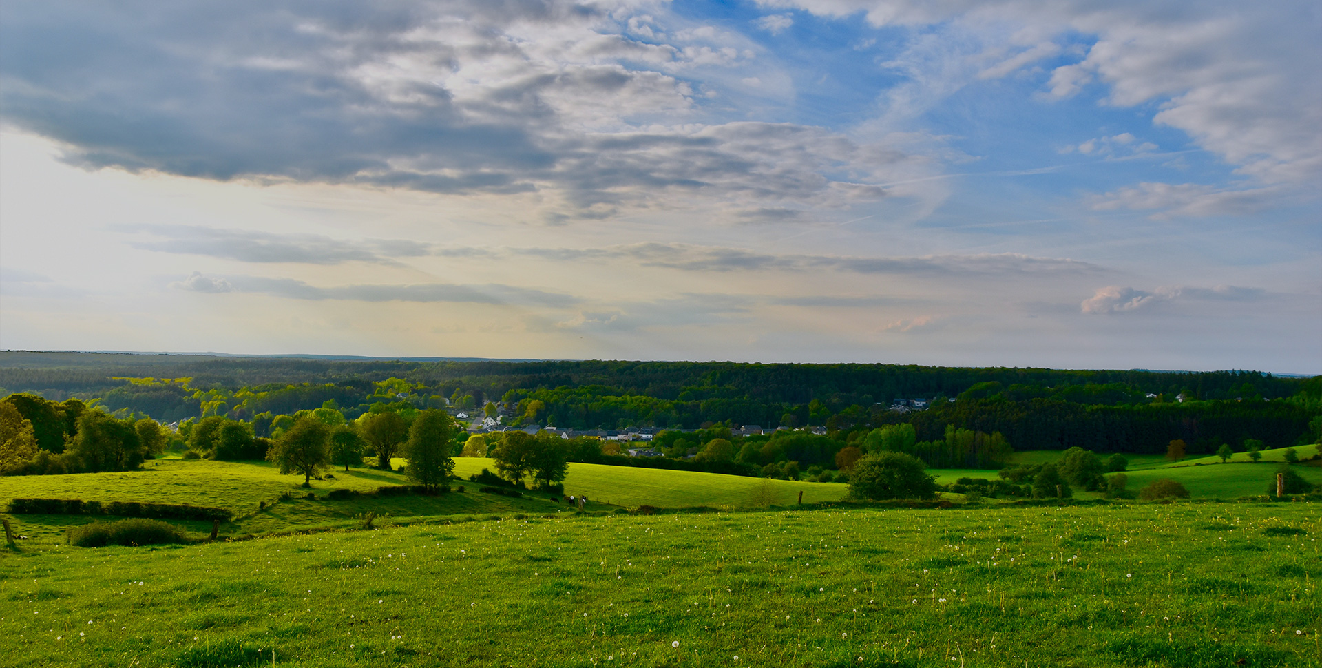 ��Ӯ����