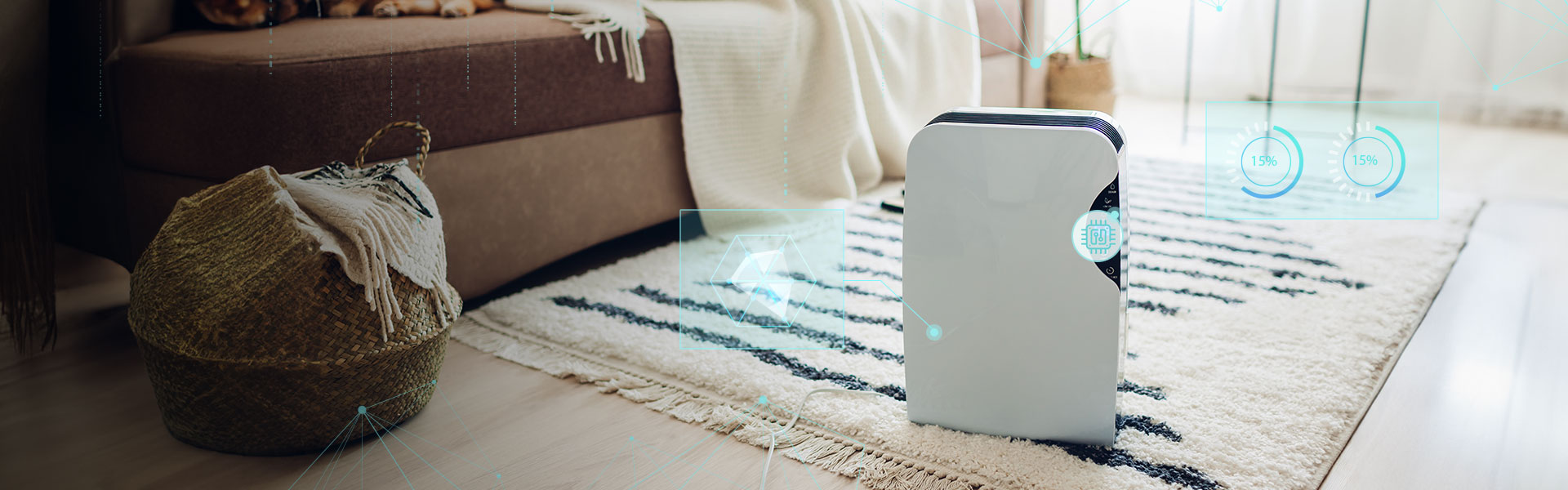 ��Ӯ����