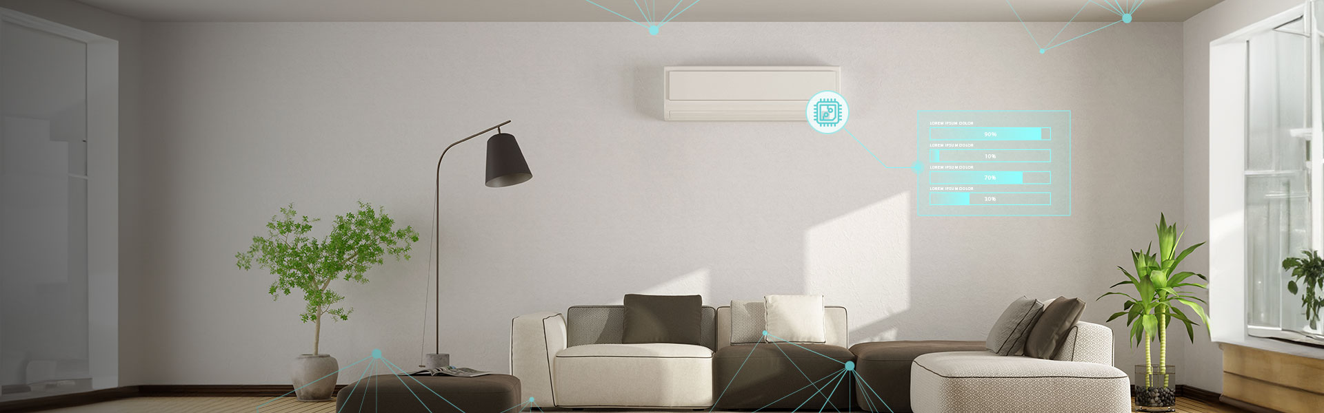 ��Ӯ����