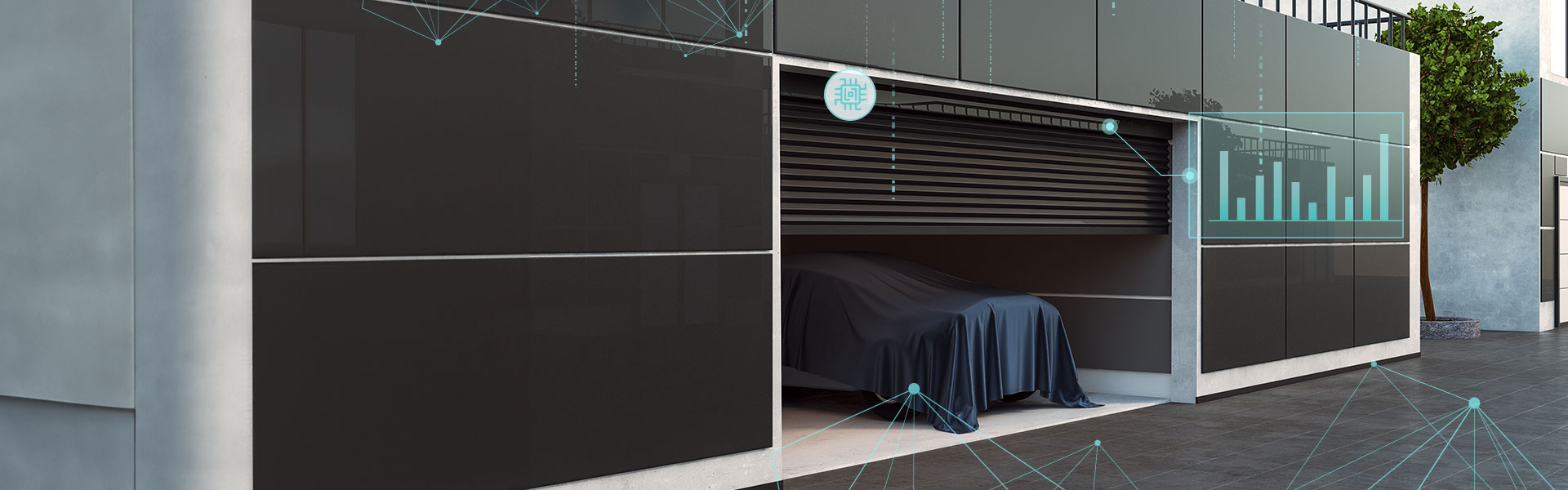 ��Ӯ����