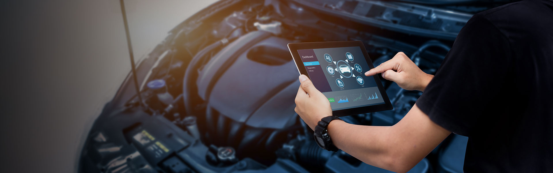 ��Ӯ����