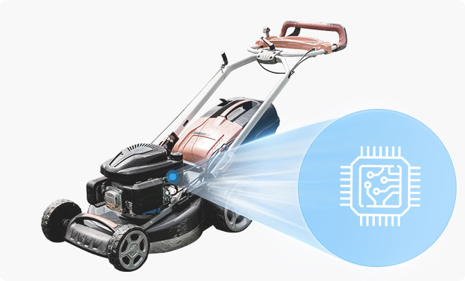 ��Ӯ����