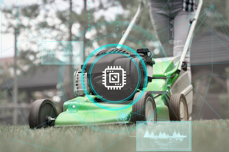 ��Ӯ����