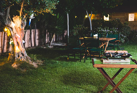 ��Ӯ����