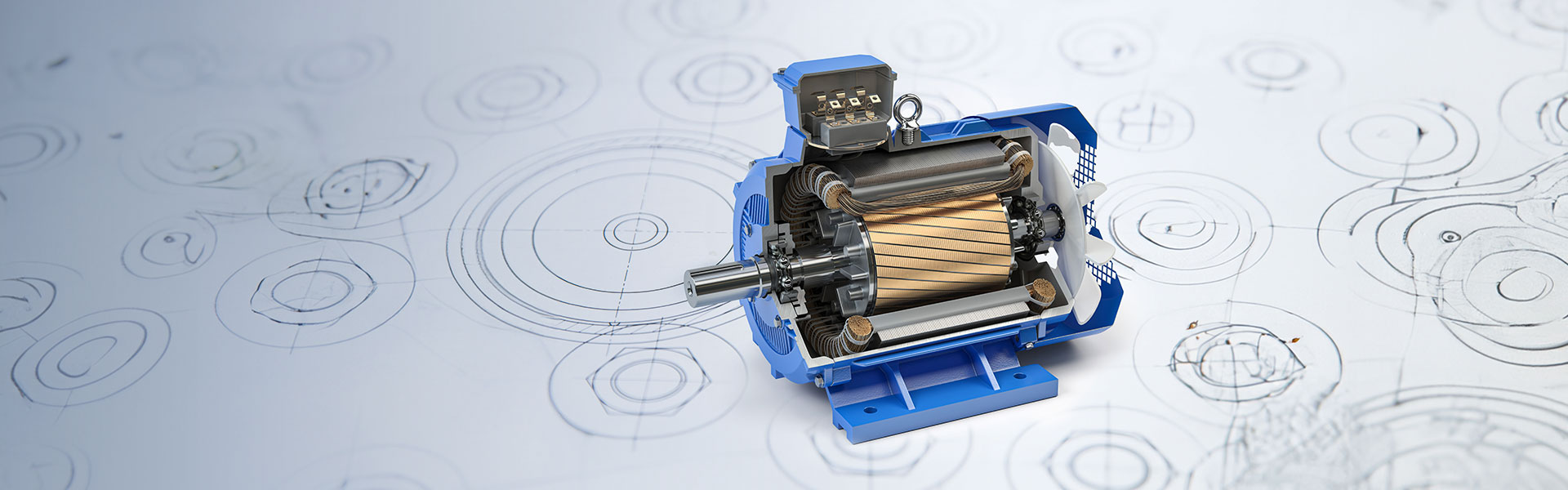 ��Ӯ����