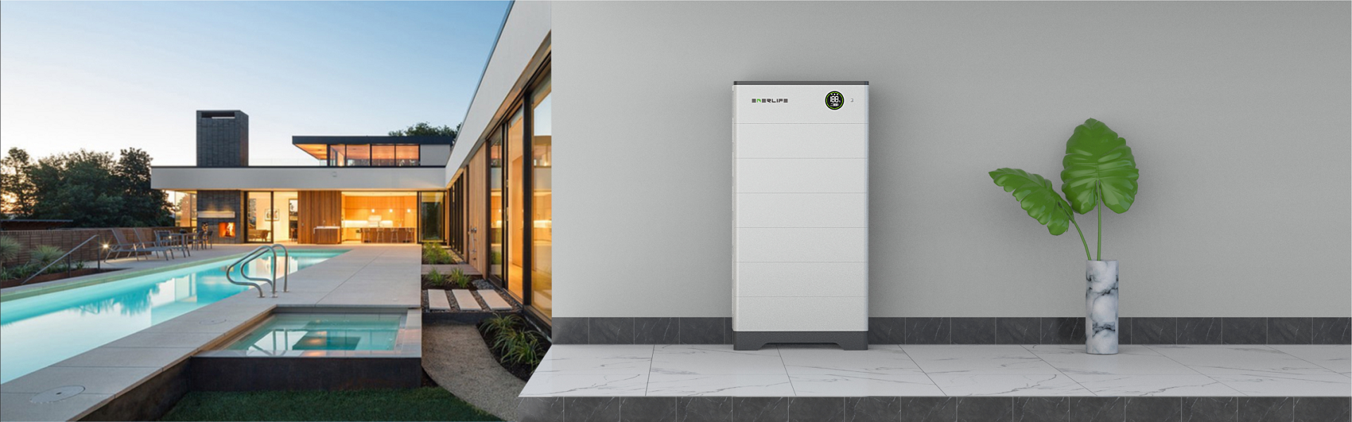 ��Ӯ����