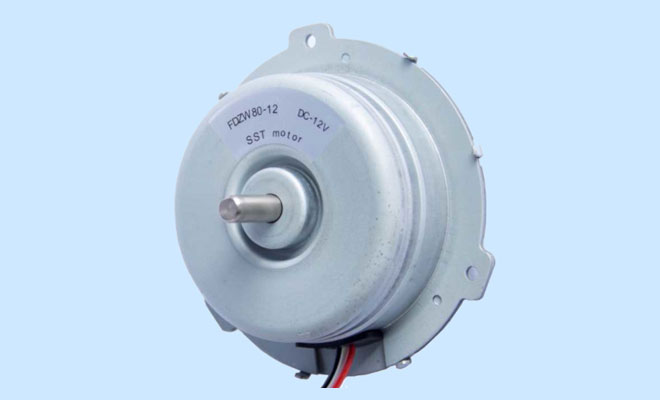 ��Ӯ����