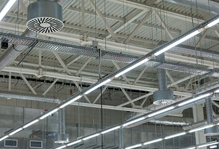 ��Ӯ����