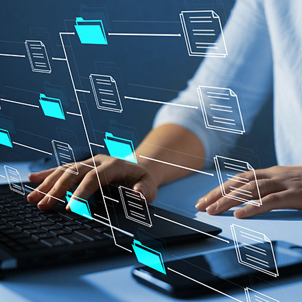 ��Ӯ����