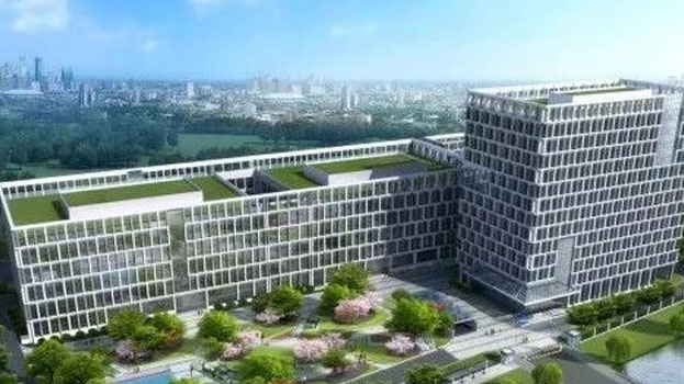 ��Ӯ����