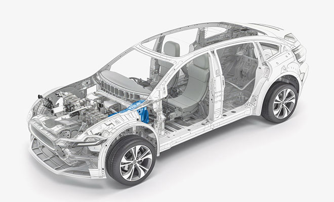 ��Ӯ����